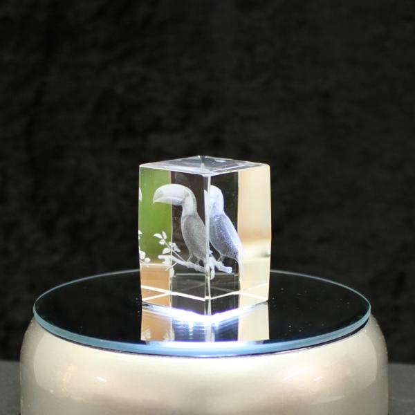 3D-Glas-Cube-Tucan, versch. Größen