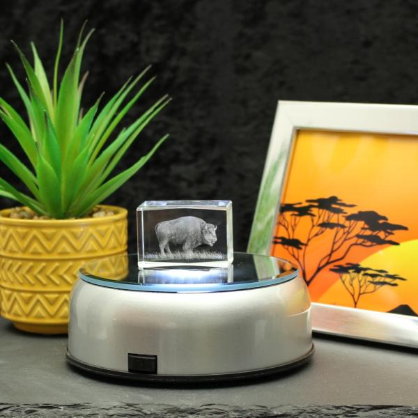 3D-Glas-Cube-Wisent, versch. Größen