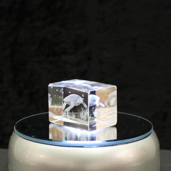 3D-Glas-Cube-Wasserschildkröte, versch. Größen
