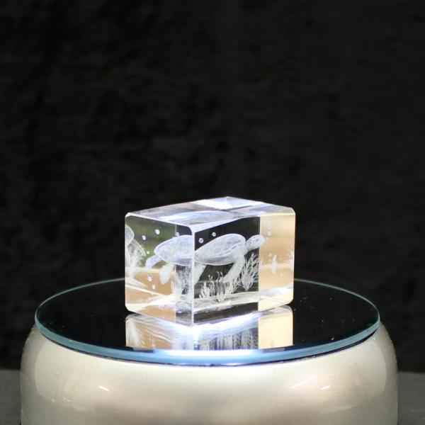 3D-Glas-Cube-Wasserschildkröte, versch. Größen