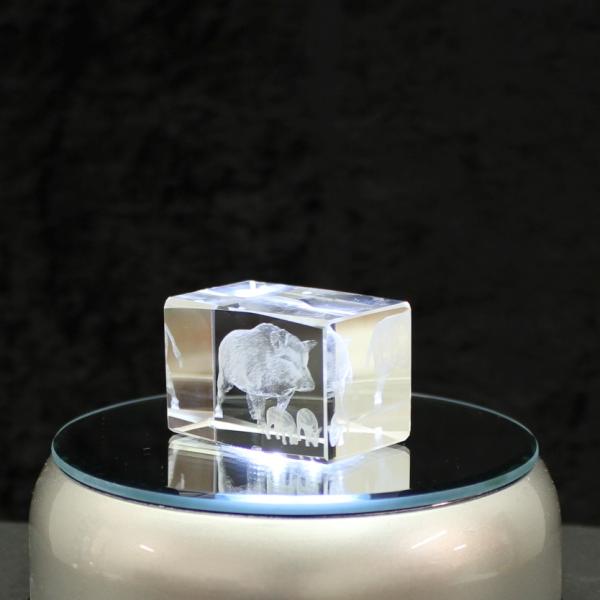 3D-Glas-Cube-Wildschwein, versch. Größen