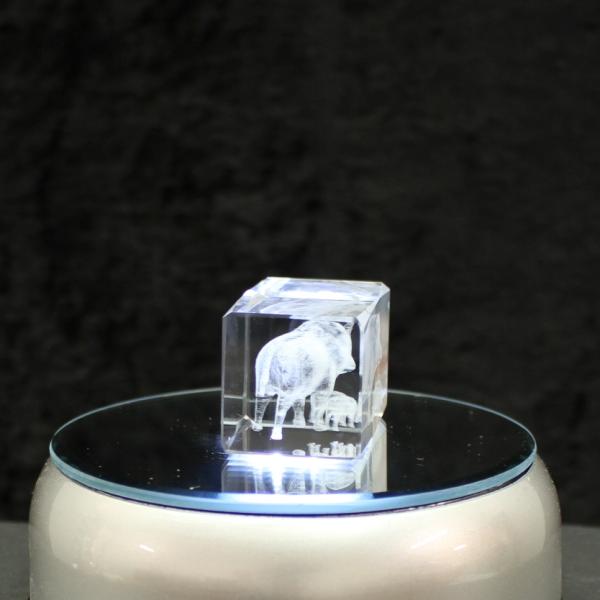 3D-Glas-Cube-Wildschwein, versch. Größen