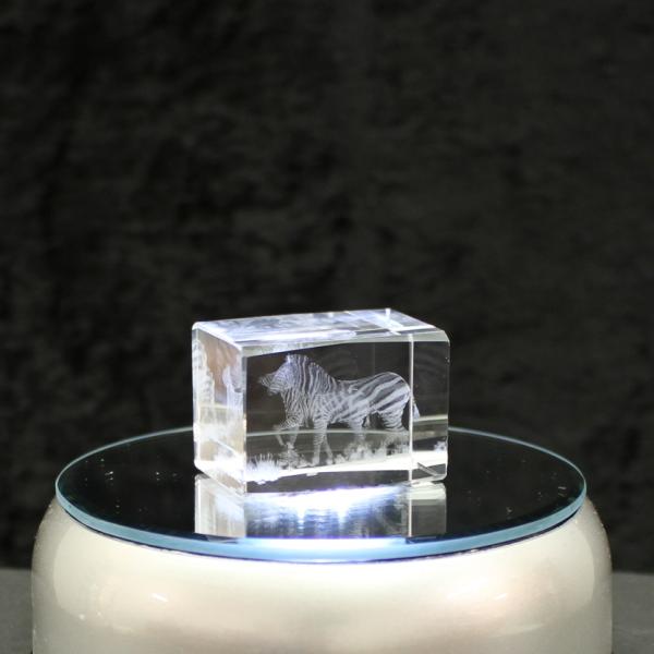3D-Glas-Cube-Zebra mit Fohlen, versch. Größen