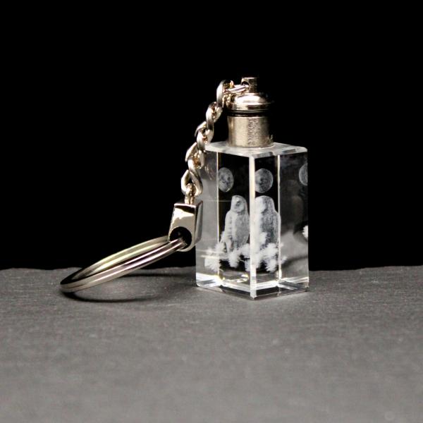 LED-Cube-Eule