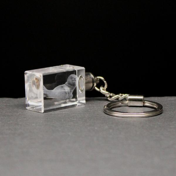 LED-Cube-Robbenmaskotchen