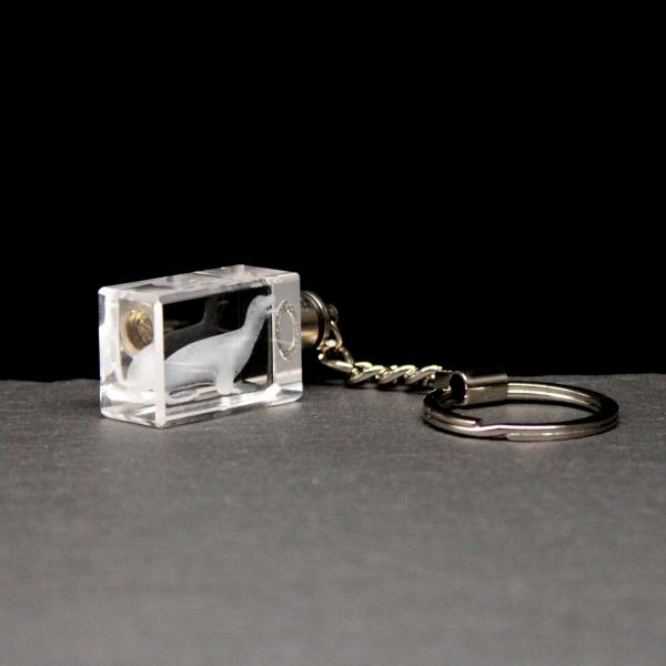 LED-Cube-Robbe
