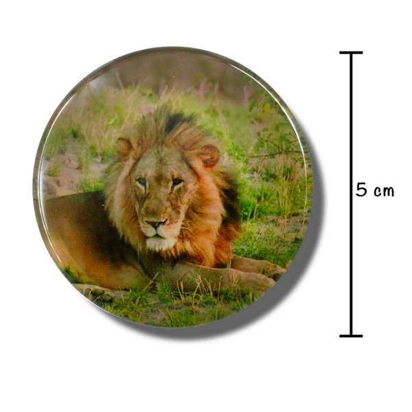 Glas Magnet- Zoo Tiere