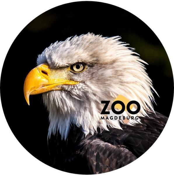 Glas Magnet- Adler Zoo Magdeburg