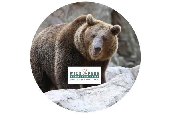 Glas Magnet- Bär, Lüneburger Heide