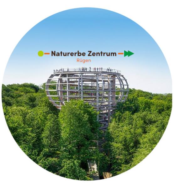 Strong, colorful, round glass magnets, motif Rügen Treetop Walk with logo