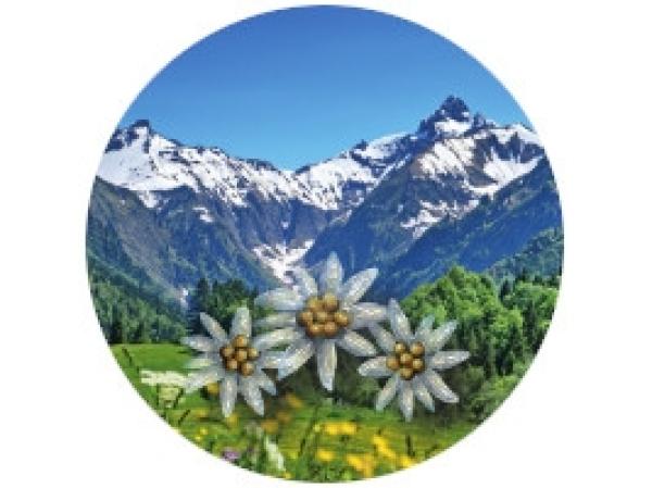 Glas Magnet- Edelweiss auf Landschaft
