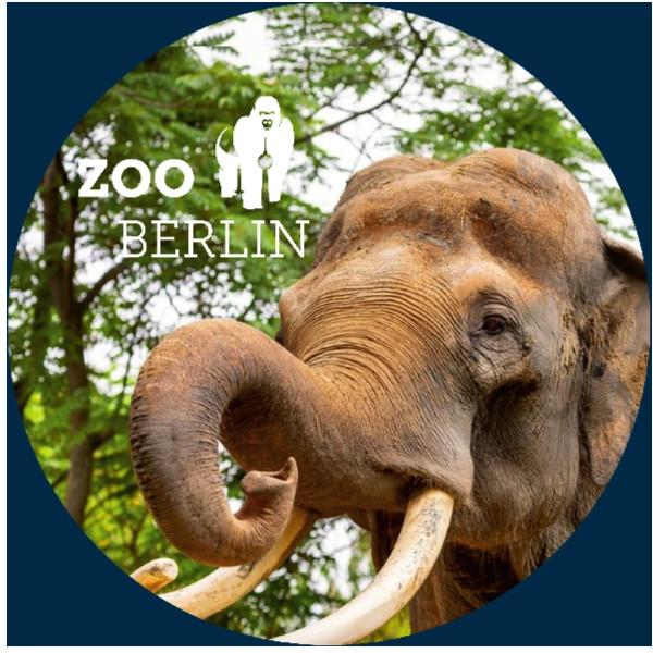 Glas Magnet- Elefant mit Logo Zoo Berlin