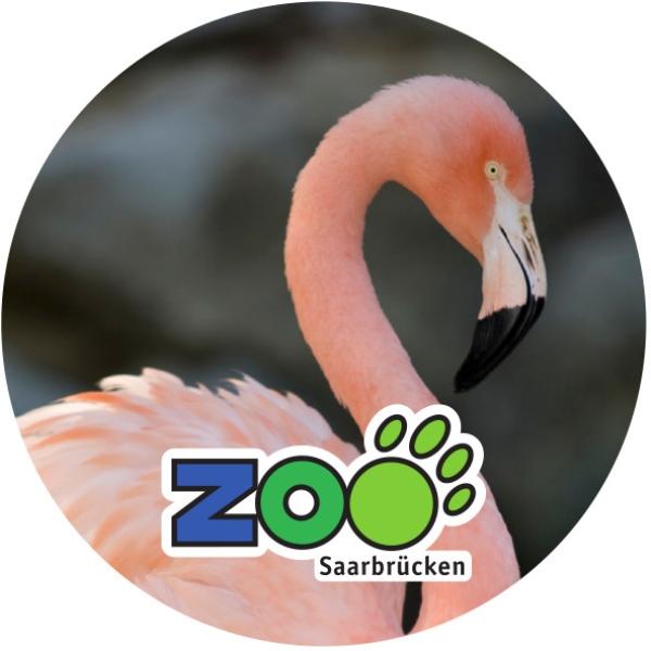 Glas Magnet- Flamingo Zoo Saarbrücken
