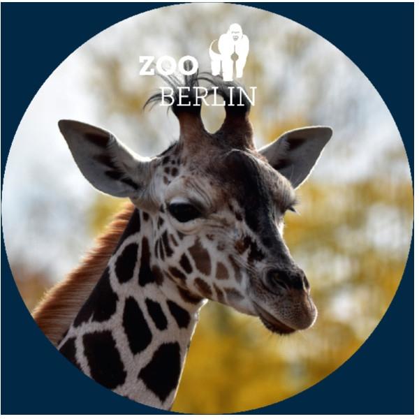 Strong, colorful, round glass magnets, motif Giraffe with Berlin Zoo logo