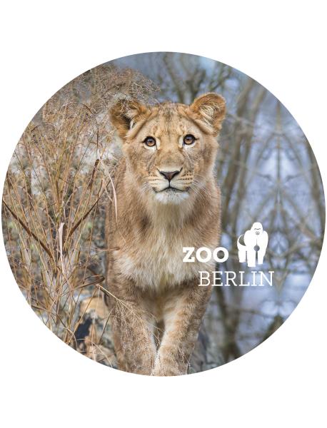 Strong, colorful, round glass magnets, motif Lion, Berlin Zoo with logo