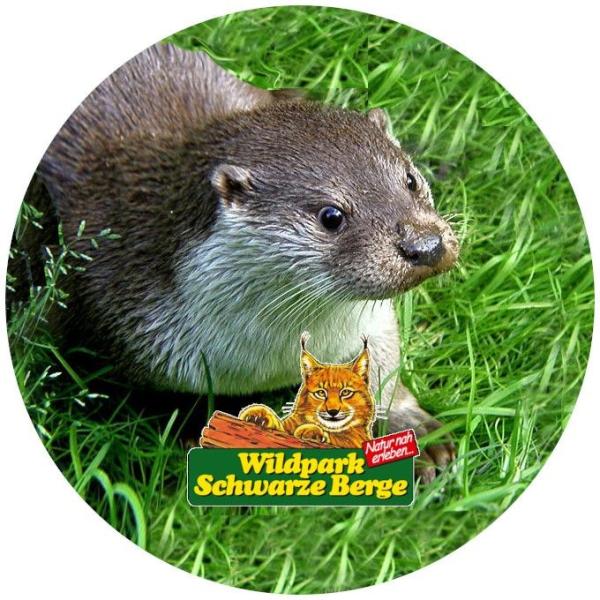 Strong, colorful, round glass magnets, motif Otter Logo Black Mountains
