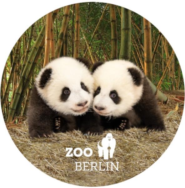 Glas Magnet- Panda Zwillinge mit Logo Zoo Berlin