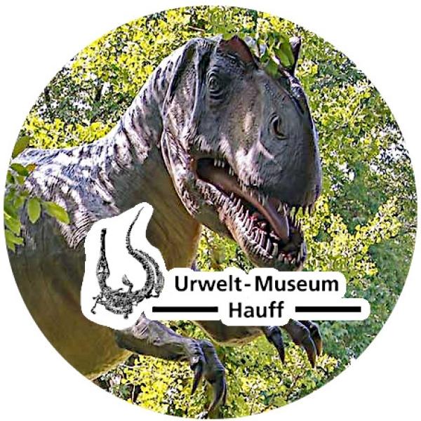 Strong, colorful, round glass magnets, motif Rex Prehistoric Museum Hauff