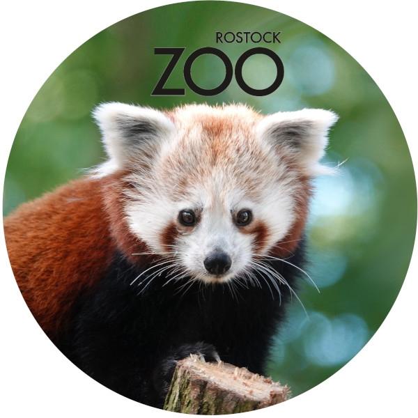 Strong, colorful, round glass magnets, motif Red panda with SZ Zoo Rostock