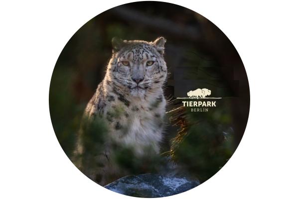 Glas Magnet- Schneeleopard, Tierpark Berlin mit Logo