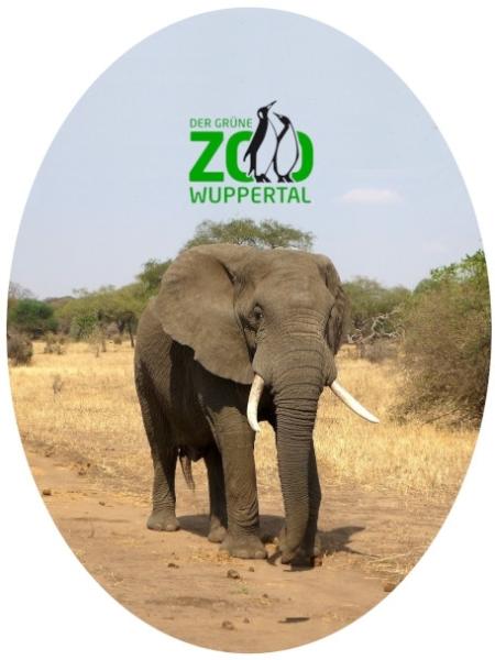 Glas Magnet- Elefanten Zoo Wuppertal
