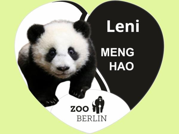 Kristallmagnet Herzform, Motiv Panda Leni Logo Zoo Berlin