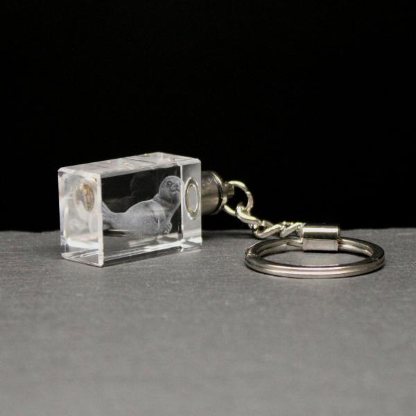 LED-Cube-Robbenmaskotchen