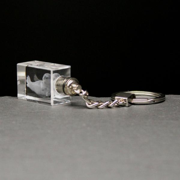 LED-Cube-Robbenmaskotchen