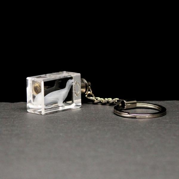LED-Cube-Robbe