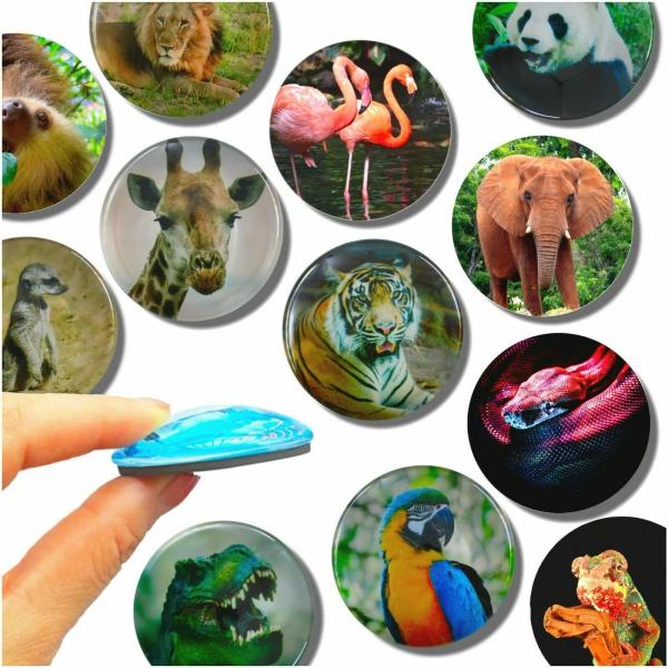 Glas Magnet- Zoo Tiere